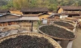 郑州保合寨最新爆料信息,揭秘神秘事件背后的真相