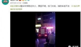 电影爆料现场视频大全播放,独家幕后花絮大揭秘