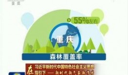重庆中央新闻怎么爆料,聚焦民生热点，助力社会进步